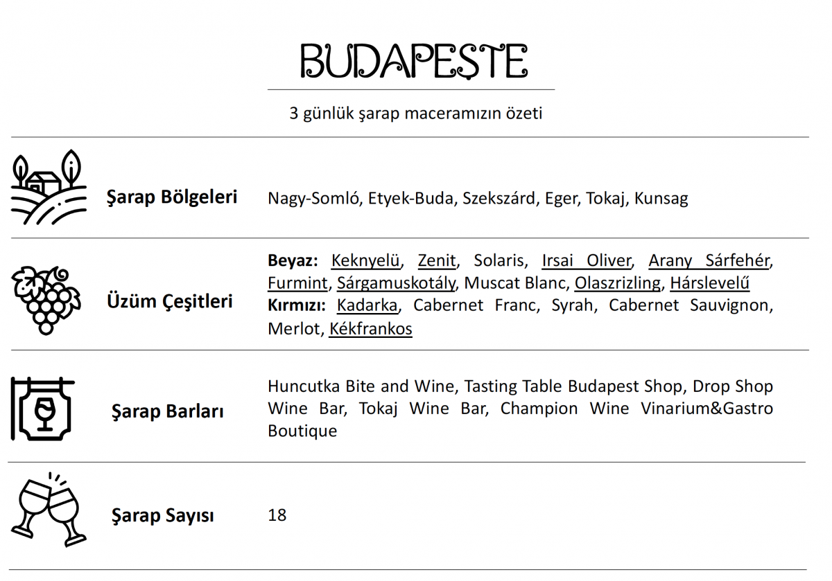 Budapeşte Şarap Barları & Macaristan Şarapları