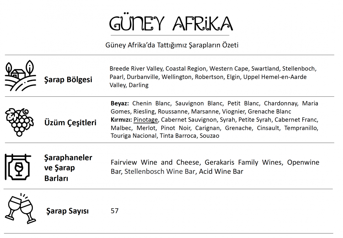 Güney Afrika Şarapları & Şarap Barları (Cape Town, Johannesburg, Stellenbosch)
