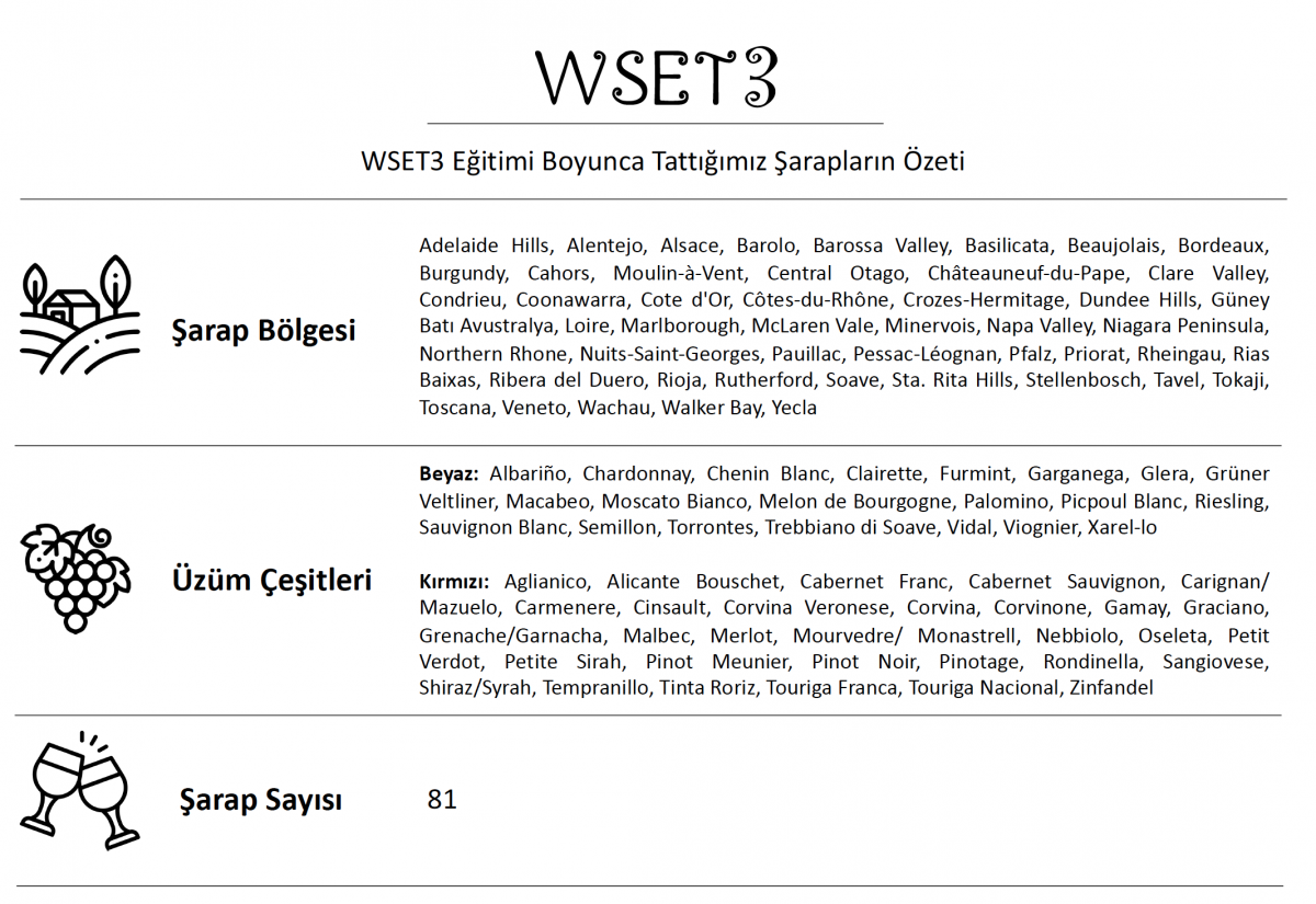 İngiltere’de WSET3 Eğitimi