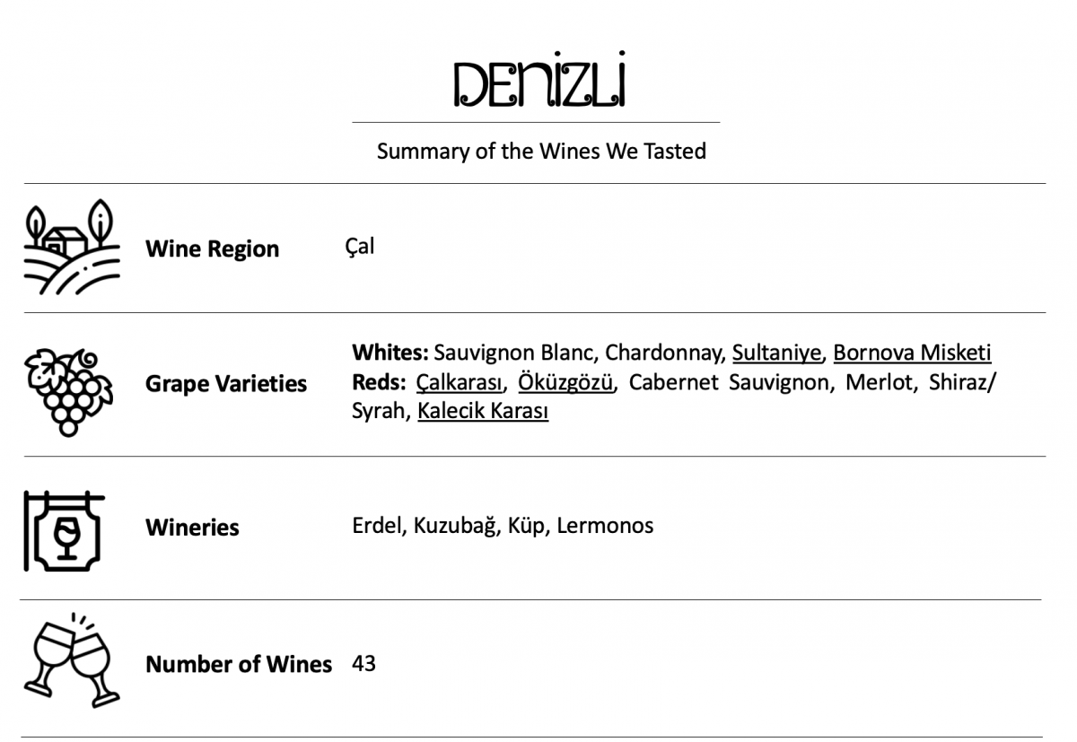 Çal Vineyard Route: Türkiye’s Hidden Wine Destination